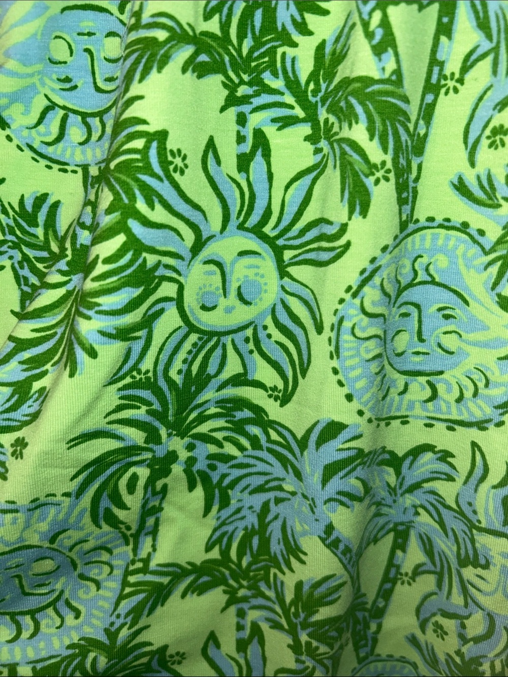 Lilly Pulitzer Lime Green and Light Blue Palm Print Dress - Picture 6 of 11